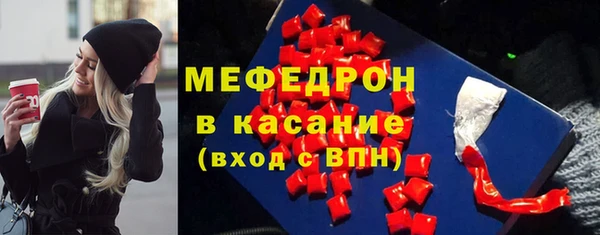 индика Надым