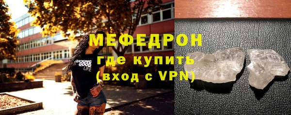 индика Надым