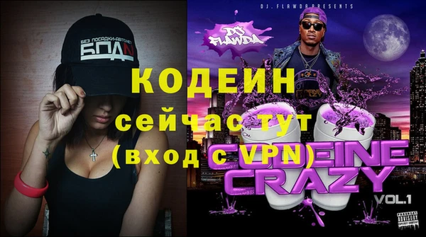 индика Надым