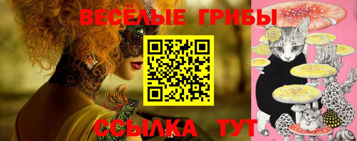 Кстово  Псилоцибиновые грибы Magic Shrooms  Вход с VPN  Галлюциногенные грибы Cubensis 