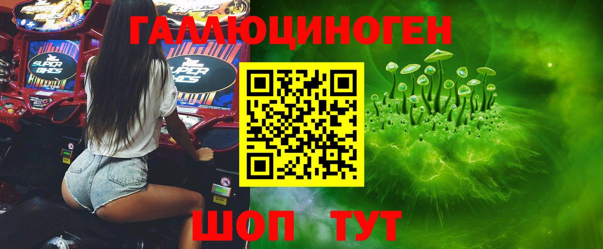где можно купить наркотик  Кстово  Псилоцибиновые грибы Magic Shrooms 